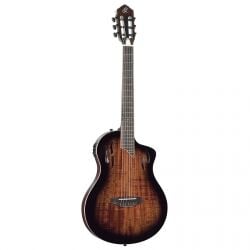 Elektro Klasik Gitarlar