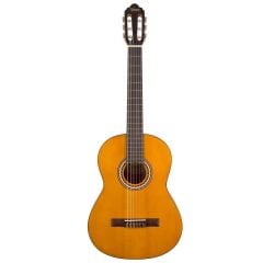 Valencia VC204 Klasik Gitar