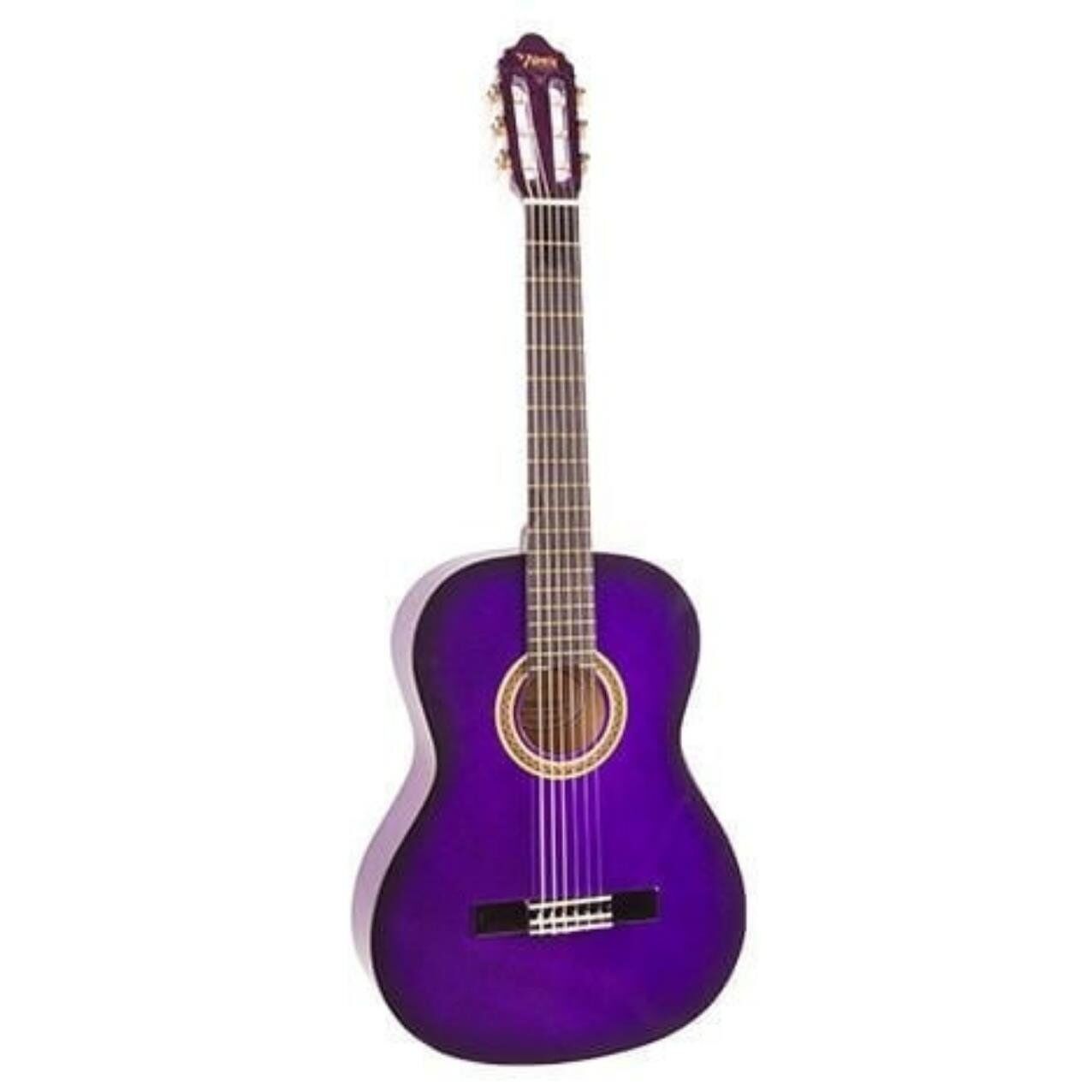 Valencia VC104TPPS Mor Klasik Gitar