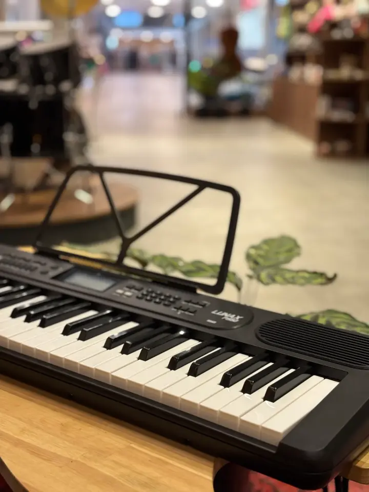 Lunax PS-60 Tuş Hassasiyetli Org - 61 Tuş