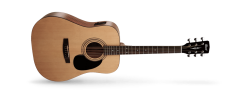 Cort AD810EOPW Kılıflı Elektro Akustik Gitar