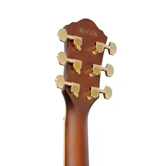 Ibanez AEWC12-PMF Elektro Akustik Gitar