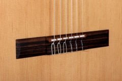 Camps CUT-ECO - Fishman Classic III Elektro Klasik Gitar