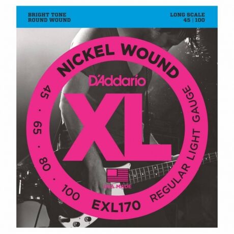 D'Addario EXL170 Long Scale Bas Gitar Teli (45-100)
