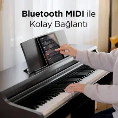 KAWAI KDP120R Gül Ağacı Dijital Duvar Piyanosu