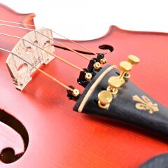 Carlovy VLA6 - 4/4 Keman