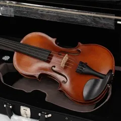 HÖFNER AS-190-V4/4 / Keman