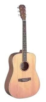 JAMES NELİGAN ASY-D AKUSTİK GİTAR