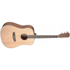 JAMES NELİGAN ASY-D AKUSTİK GİTAR